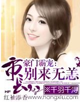 市长,别来无恙封面