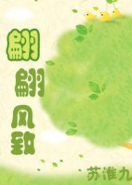 翩翩风致封面