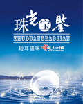 珠光宝鉴封面