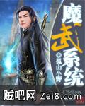 魔武系统封面