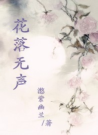 花落无声封面