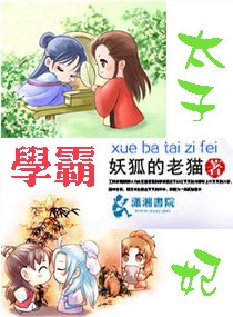 学霸太子妃封面