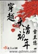 穿越大清初年封面