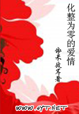 化整为零的爱情封面
