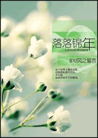 落落锦年封面