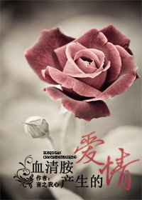 血清胺产生的爱情封面