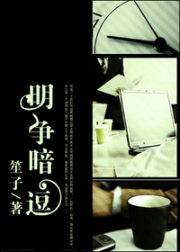 明争暗逗封面