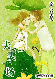 夫妻一场封面
