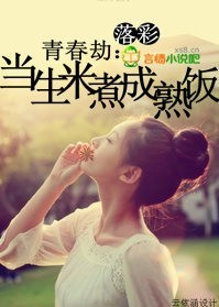 当生米煮成熟饭封面