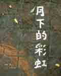 月下的彩虹封面