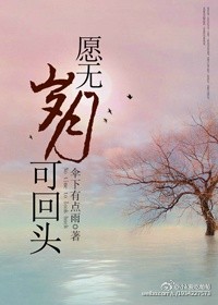 愿无岁月可回头封面