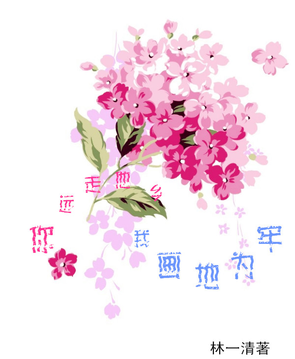 你远走他乡,我画地为牢封面