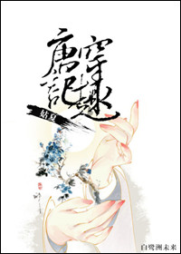 唐穿记趣封面