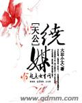 天公绕媒封面