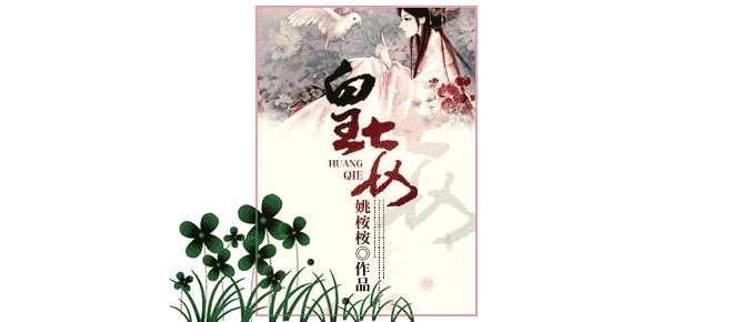 皇妾封面