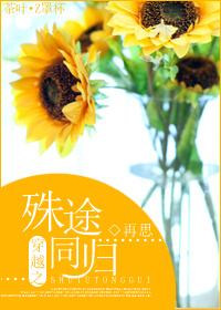 穿越之殊途同归封面