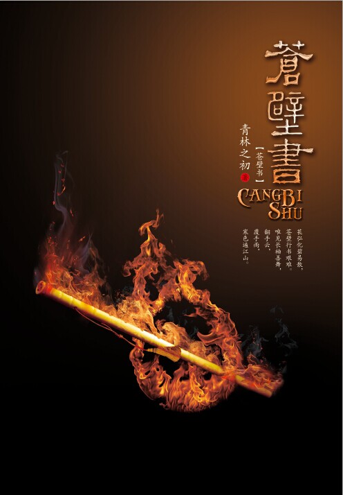 苍壁书封面