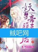 妖孽帝王腹黑后封面