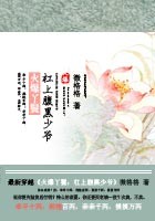 火爆丫鬟:杠上腹黑少爷封面
