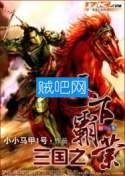 三国之天下霸业封面