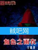 血色之雨衣封面