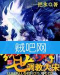 绝世高手调教大宋 绝世高手调教大宋
