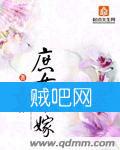 庶女再嫁封面