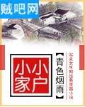 小家小户封面