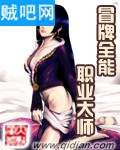 冒牌全能职业大师 冒牌全能职业大师