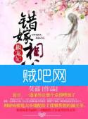 错嫁相公极宠妃封面
