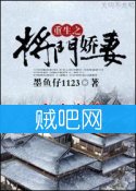 重生之将门娇妻封面