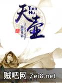 天壶 天壶