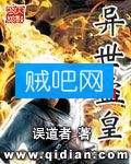 异世盗皇 异世盗皇