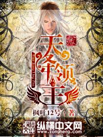 天降领主 天降领主