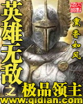 英雄无敌之极品领主 英雄无敌之极品领主