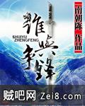 谁与争锋封面