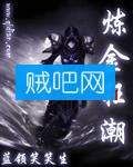 炼金狂潮封面