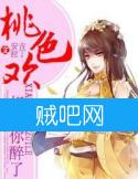 相公你醉了封面