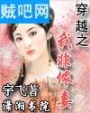 穿越之我非侬妻封面
