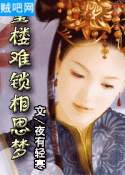 重楼难锁相思梦封面