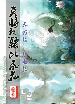 莫将愁绪比飞花封面