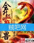 会升级的魔兽 会升级的魔兽
