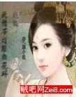 烟花碎封面