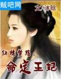 命定王妃封面