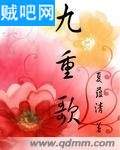九重歌封面