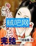 绣花毒后封面