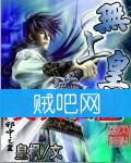 无上皇座封面