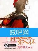 爷霸爱妖妻宠入怀封面