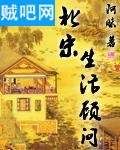 北宋生活顾问封面