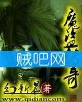 魔盗传奇封面